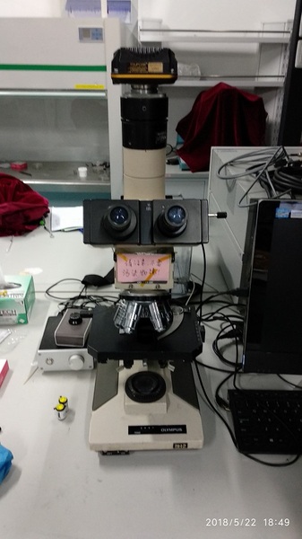 仪器测试光学显微镜.jpg