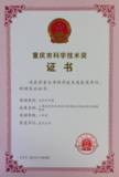 重庆市自然科学奖二等奖